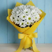 Букет цветов из:  Хризантемы в Линёво Волгоградской области