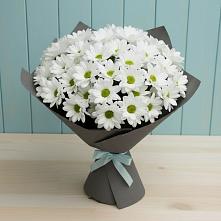 Букет цветов из:  Хризантемы в Линёво Волгоградской области