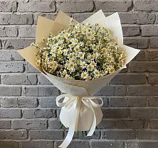 Букет цветов из:  Ромашки в Линёво Волгоградской области