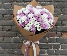 Букет цветов из:  Хризантемы в Линёво Волгоградской области