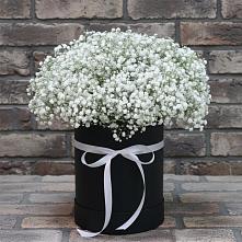 Цветочная композиция из Гипсофила в шляпной коробке в Линёво Волгоградской области