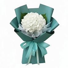Букет цветов из:  Гортензия в Линёво Волгоградской области
